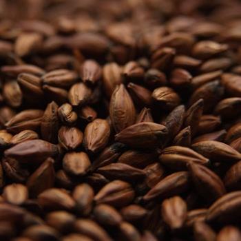 Crisp Malting - Pale Chocolate Malt (400-600 EBC) 